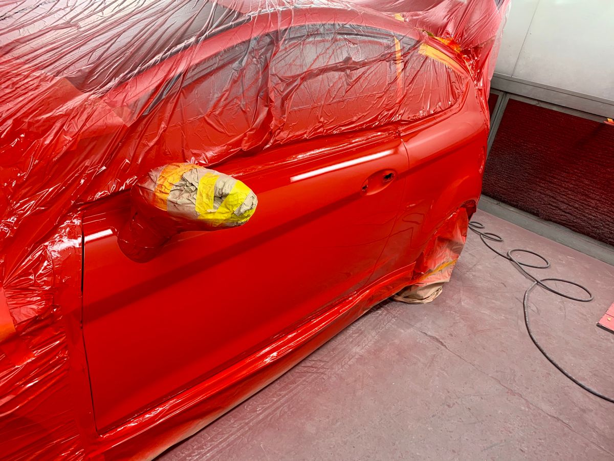 Left Front Door Paint