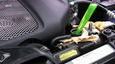 car drive belt lubrication